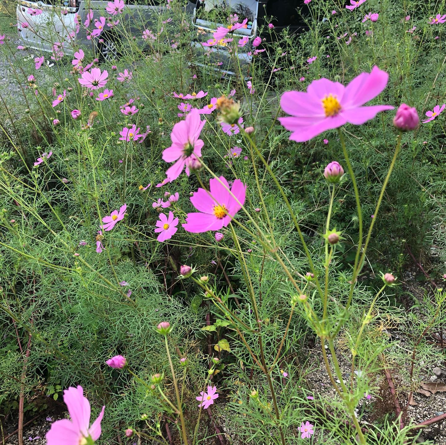Instagramからの投稿